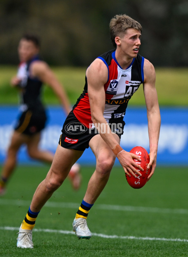 VFL 2025 Round 05 - Sandringham v Brisbane - A-58996819