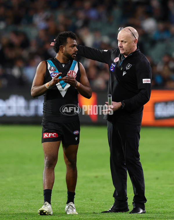AFL 2025 Round 07 - Port Adelaide v North Melbourne - A-58997970