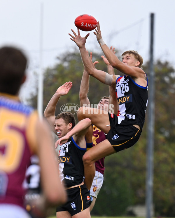 VFL 2025 Round 05 - Sandringham v Brisbane - A-59003522