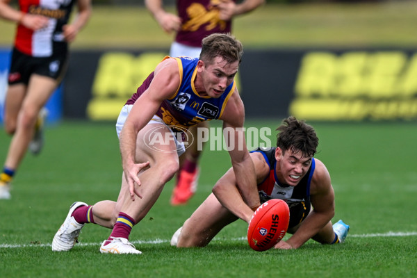 VFL 2025 Round 05 - Sandringham v Brisbane - A-59003530