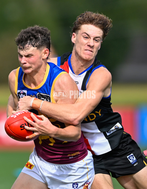 VFL 2025 Round 05 - Sandringham v Brisbane - A-59003540