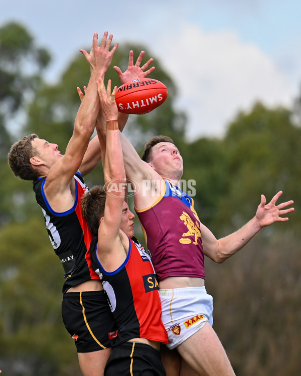VFL 2025 Round 05 - Sandringham v Brisbane - A-59003831