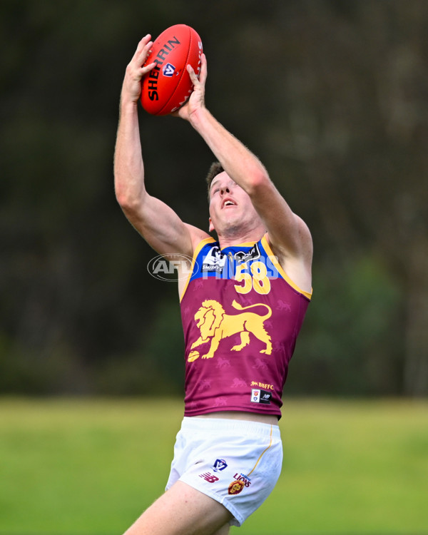 VFL 2025 Round 05 - Sandringham v Brisbane - A-59003862