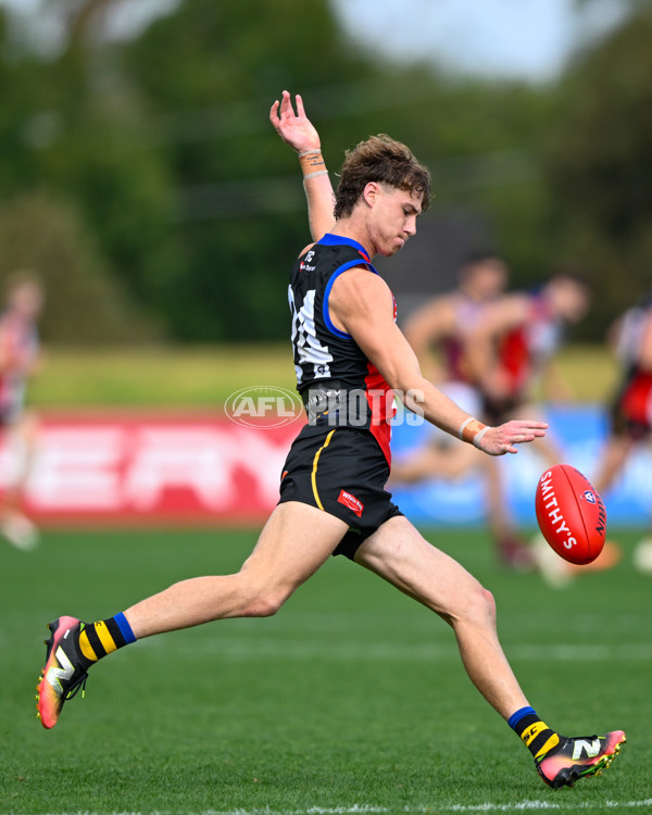 VFL 2025 Round 05 - Sandringham v Brisbane - A-59003864