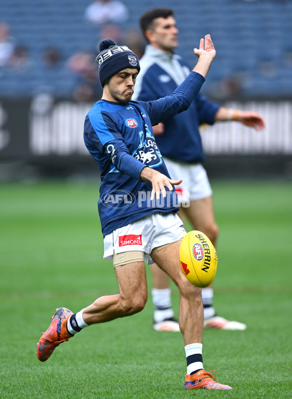 AFL 2025 Round 07 - Carlton v Geelong - A-59013776
