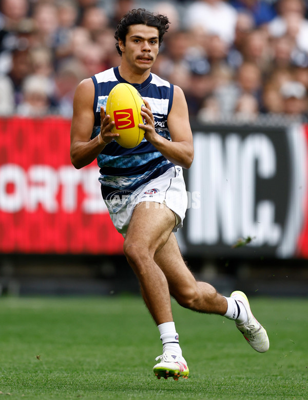 AFL 2025 Round 07 - Carlton v Geelong - A-59017945