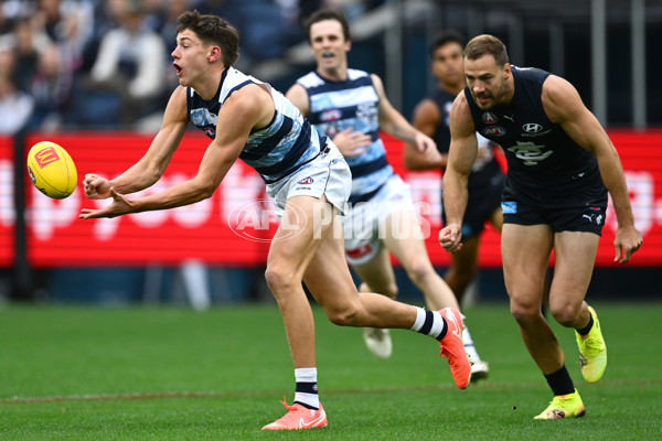 AFL 2025 Round 07 - Carlton v Geelong - A-59017958