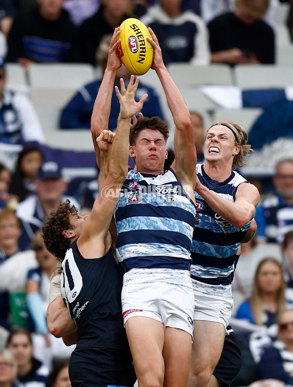 AFL 2025 Round 07 - Carlton v Geelong - A-59017999