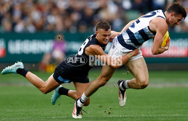 AFL 2025 Round 07 - Carlton v Geelong - A-59018002