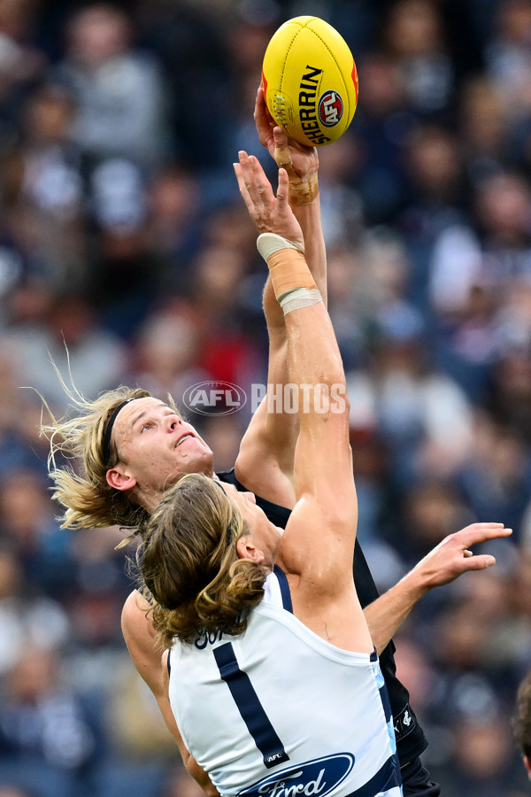 AFL 2025 Round 07 - Carlton v Geelong - A-59019039
