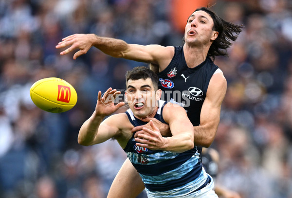 AFL 2025 Round 07 - Carlton v Geelong - A-59021619