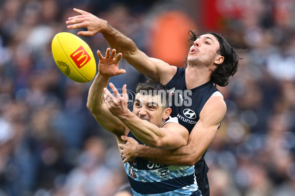 AFL 2025 Round 07 - Carlton v Geelong - A-59021621