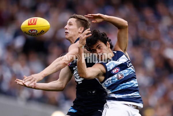 AFL 2025 Round 07 - Carlton v Geelong - A-59021637