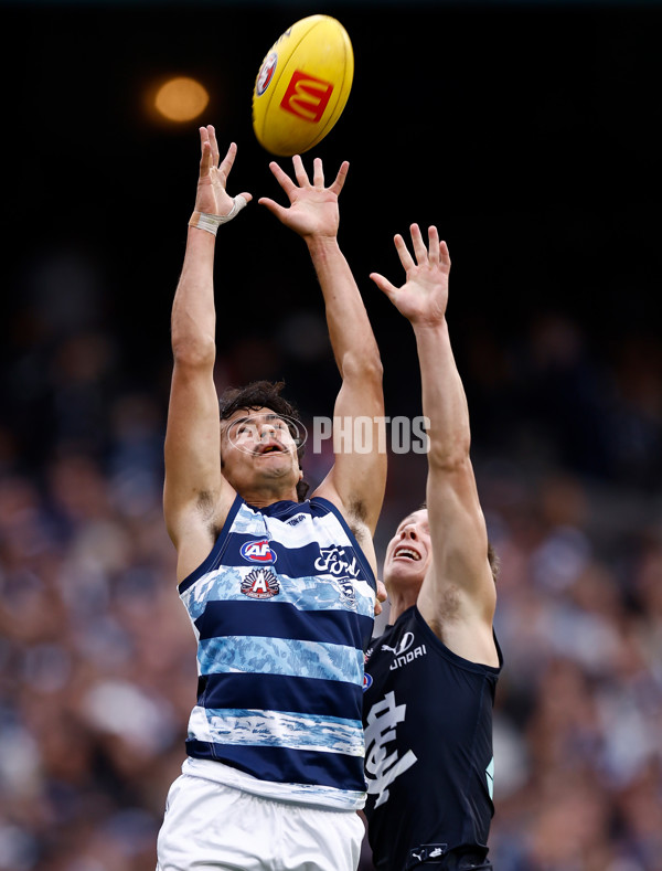 AFL 2025 Round 07 - Carlton v Geelong - A-59023094