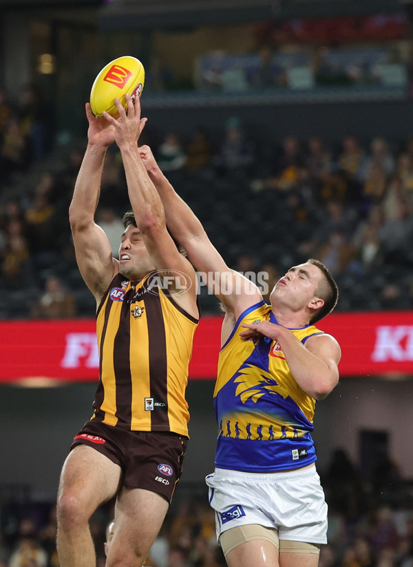 AFL 2025 Round 07 - Hawthorn v West Coast - A-59023169