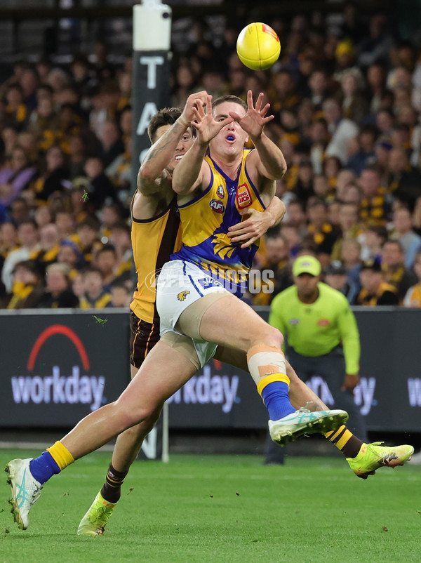 AFL 2025 Round 07 - Hawthorn v West Coast - A-59023186