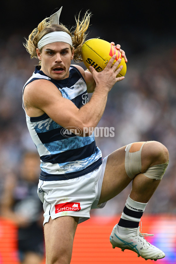 AFL 2025 Round 07 - Carlton v Geelong - A-59024275