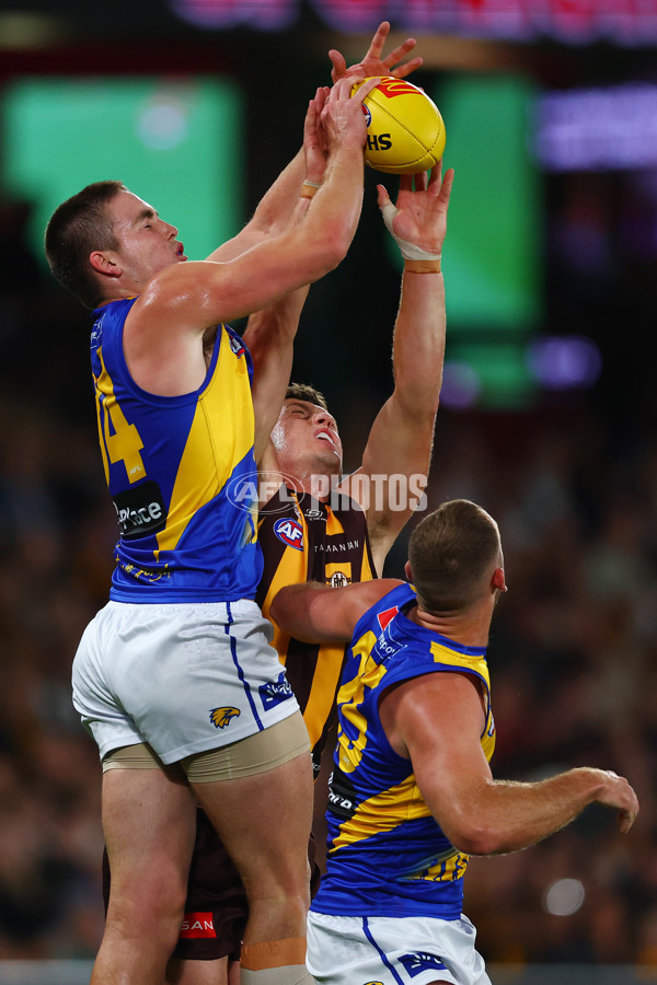 AFL 2025 Round 07 - Hawthorn v West Coast - A-59026047