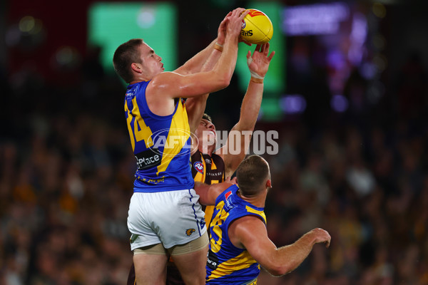 AFL 2025 Round 07 - Hawthorn v West Coast - A-59026638