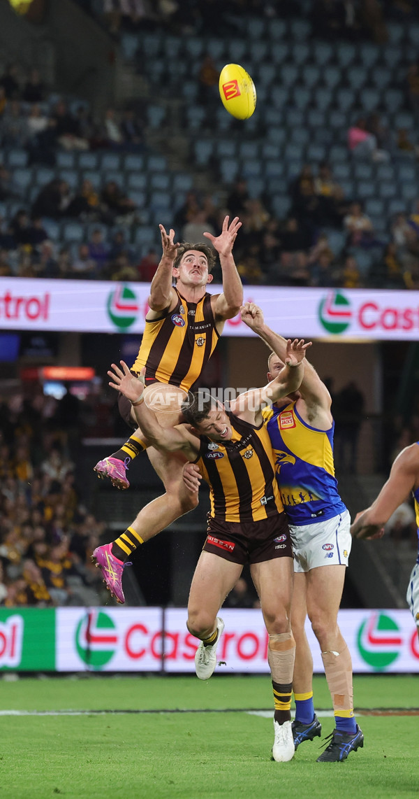 AFL 2025 Round 07 - Hawthorn v West Coast - A-59026647