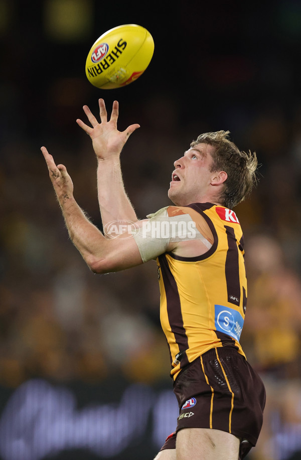 AFL 2025 Round 07 - Hawthorn v West Coast - A-59026672