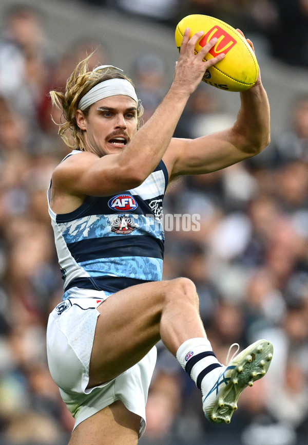 AFL 2025 Round 07 - Carlton v Geelong - A-59026692