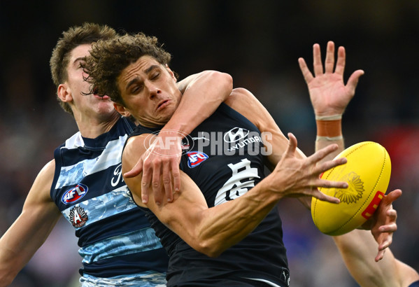 AFL 2025 Round 07 - Carlton v Geelong - A-59026708
