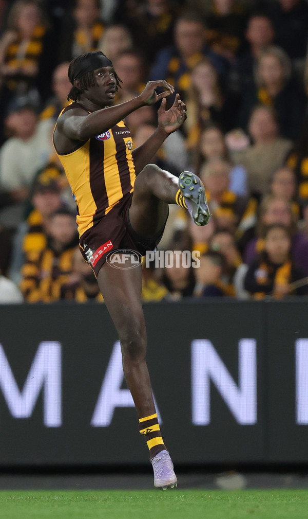 AFL 2025 Round 07 - Hawthorn v West Coast - A-59028655