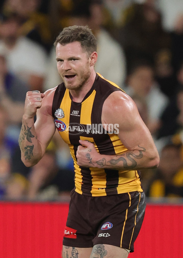 AFL 2025 Round 07 - Hawthorn v West Coast - A-59028673