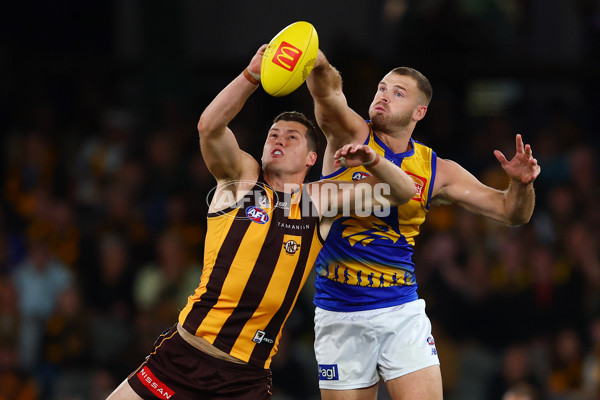 AFL 2025 Round 07 - Hawthorn v West Coast - A-59028709