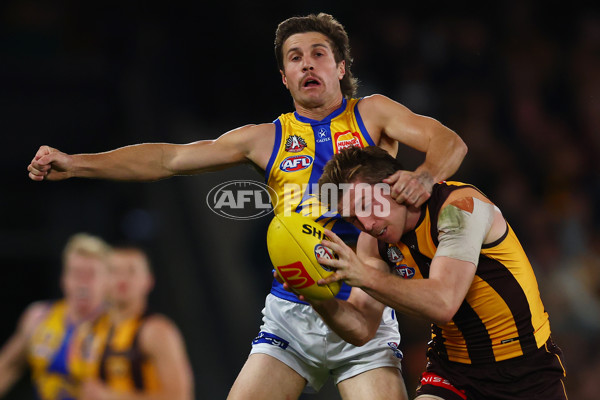 AFL 2025 Round 07 - Hawthorn v West Coast - A-59028711