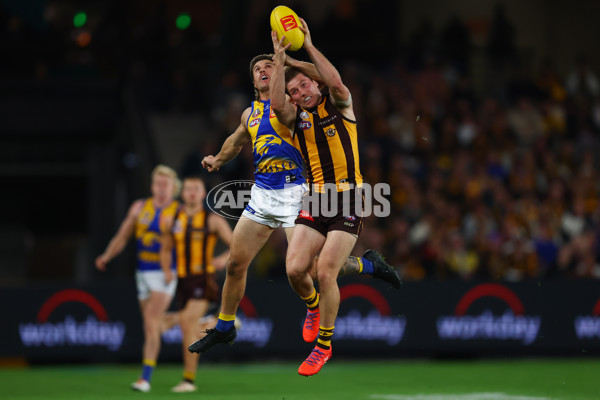 AFL 2025 Round 07 - Hawthorn v West Coast - A-59028712