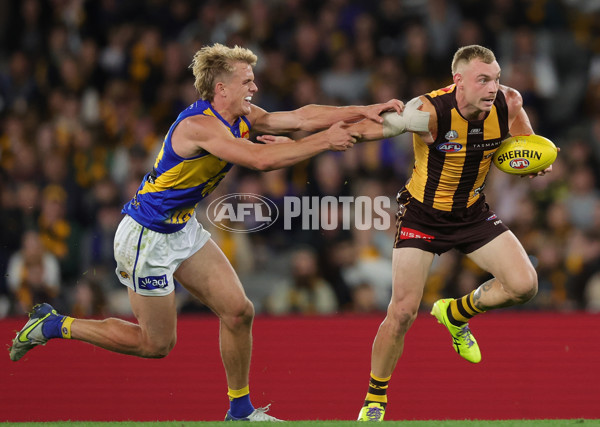 AFL 2025 Round 07 - Hawthorn v West Coast - A-59028735