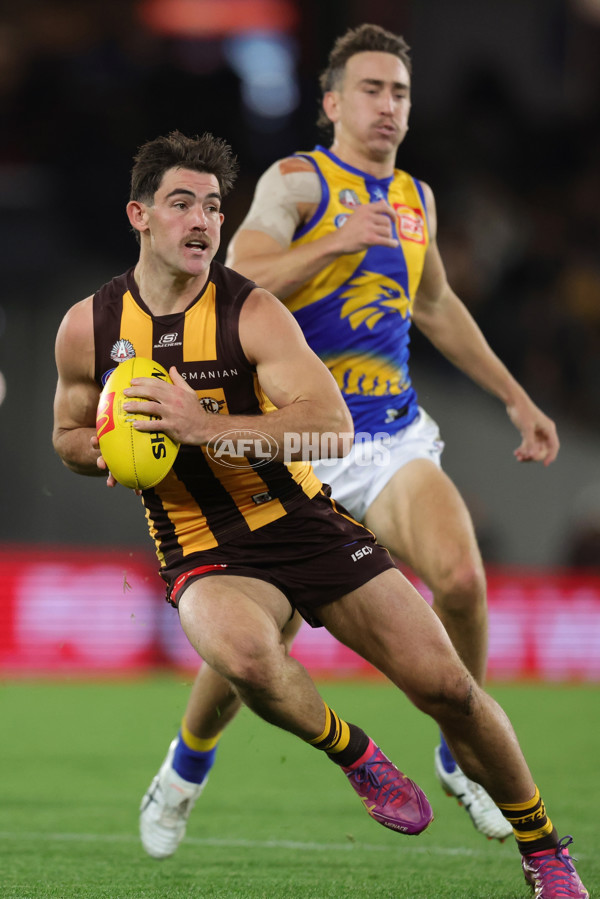 AFL 2025 Round 07 - Hawthorn v West Coast - A-59029350