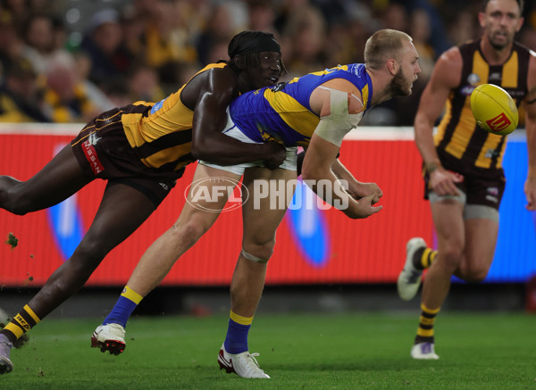 AFL 2025 Round 07 - Hawthorn v West Coast - A-59029371