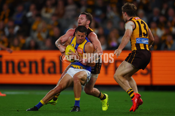 AFL 2025 Round 07 - Hawthorn v West Coast - A-59029380