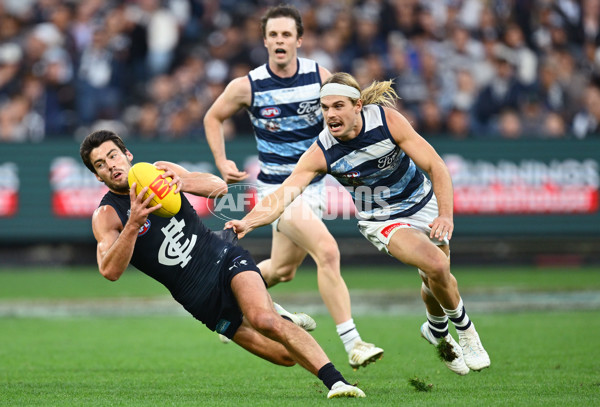 AFL 2025 Round 07 - Carlton v Geelong - A-59029409