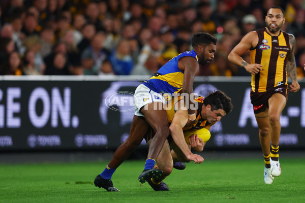 AFL 2025 Round 07 - Hawthorn v West Coast - A-59029433
