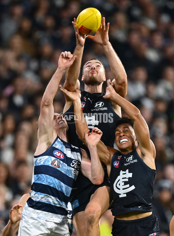 AFL 2025 Round 07 - Carlton v Geelong - A-59031552