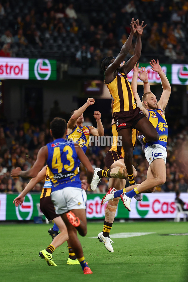 AFL 2025 Round 07 - Hawthorn v West Coast - A-59032078