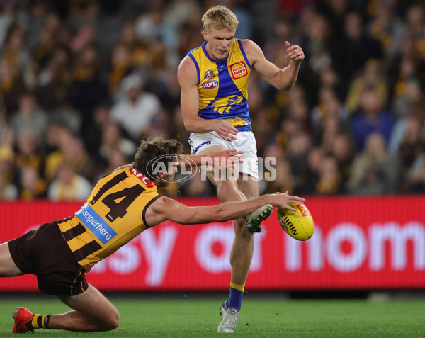 AFL 2025 Round 07 - Hawthorn v West Coast - A-59032094