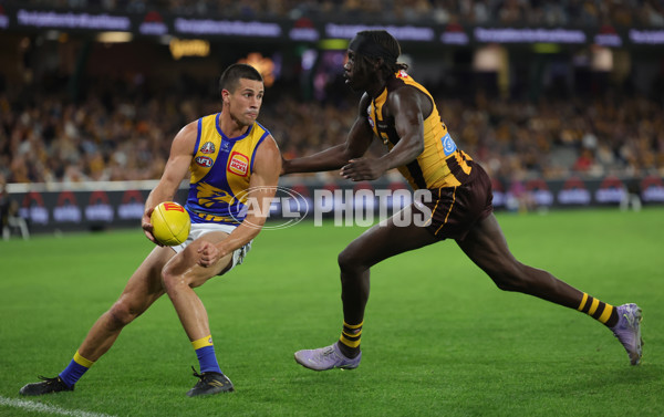 AFL 2025 Round 07 - Hawthorn v West Coast - A-59032143
