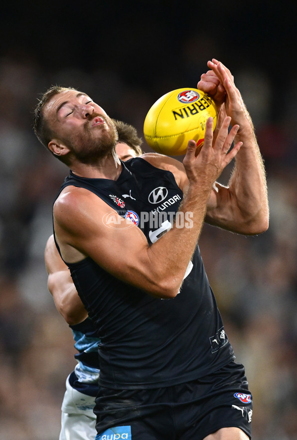 AFL 2025 Round 07 - Carlton v Geelong - A-59032167