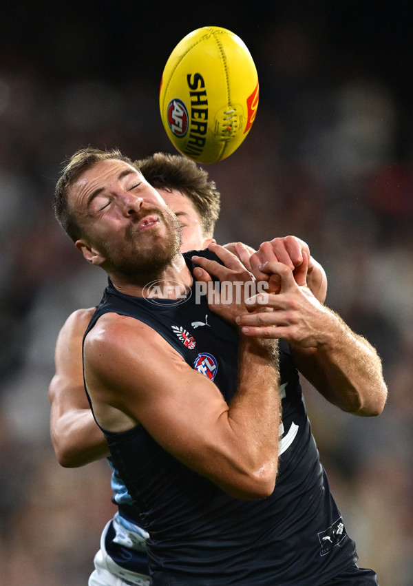 AFL 2025 Round 07 - Carlton v Geelong - A-59032169
