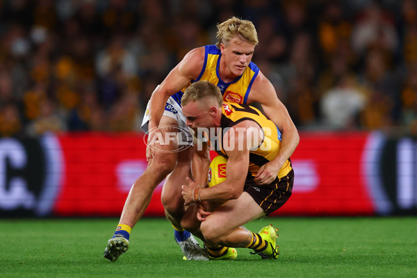 AFL 2025 Round 07 - Hawthorn v West Coast - A-59034258