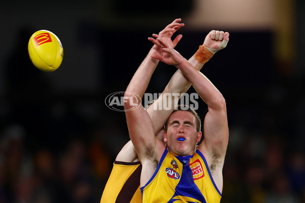 AFL 2025 Round 07 - Hawthorn v West Coast - A-59034259
