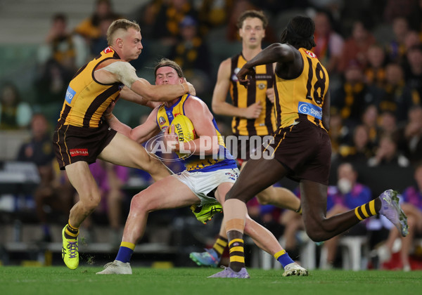 AFL 2025 Round 07 - Hawthorn v West Coast - A-59034262
