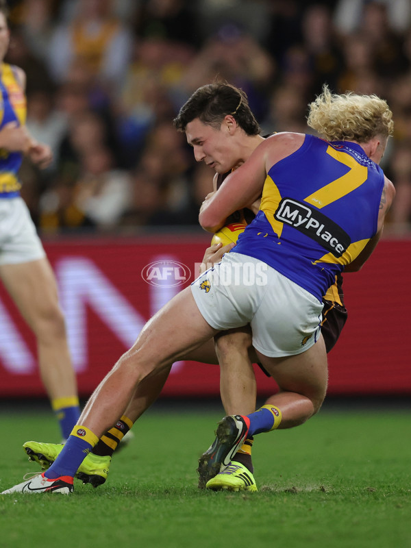 AFL 2025 Round 07 - Hawthorn v West Coast - A-59034266