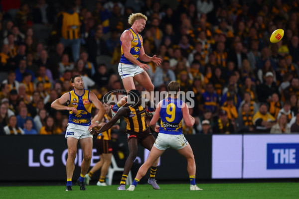 AFL 2025 Round 07 - Hawthorn v West Coast - A-59034269