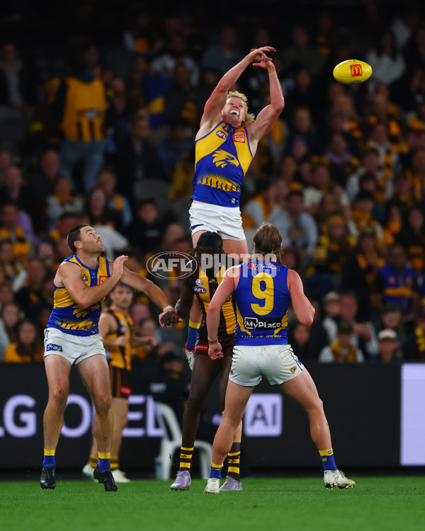 AFL 2025 Round 07 - Hawthorn v West Coast - A-59034270